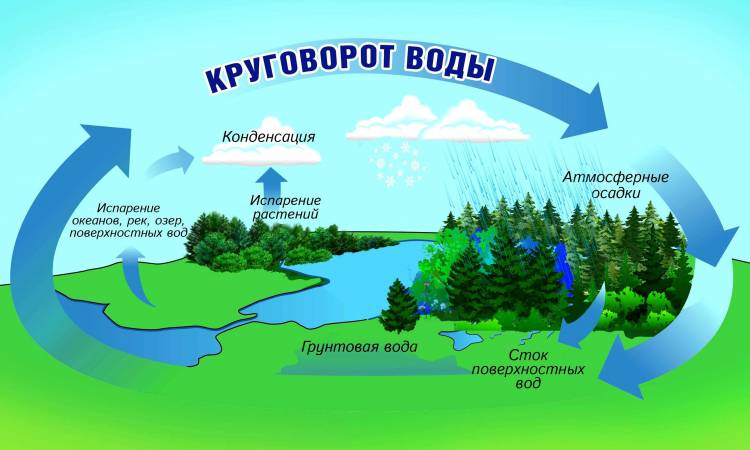 Круговорот воды в природе картинки