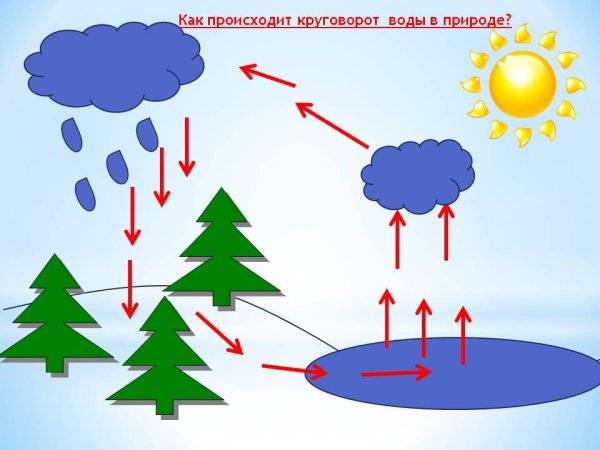 Картинки схематичные природы 