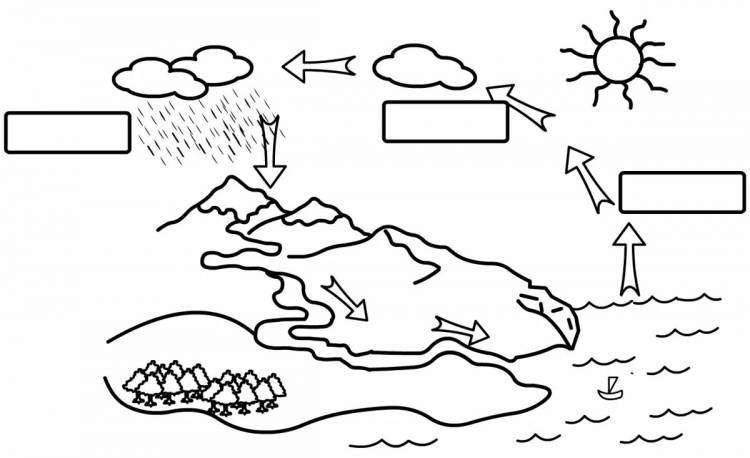 Раскраски Круговорот воды в природе для детей 