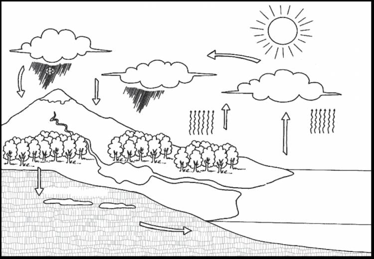 Круговорот воды в природе рисунок для срисовки