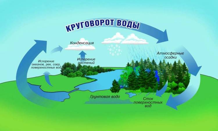 Картинки Круговорот воды в природе 