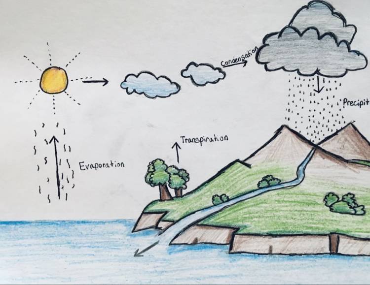 Рисунок круговорота воды в природе