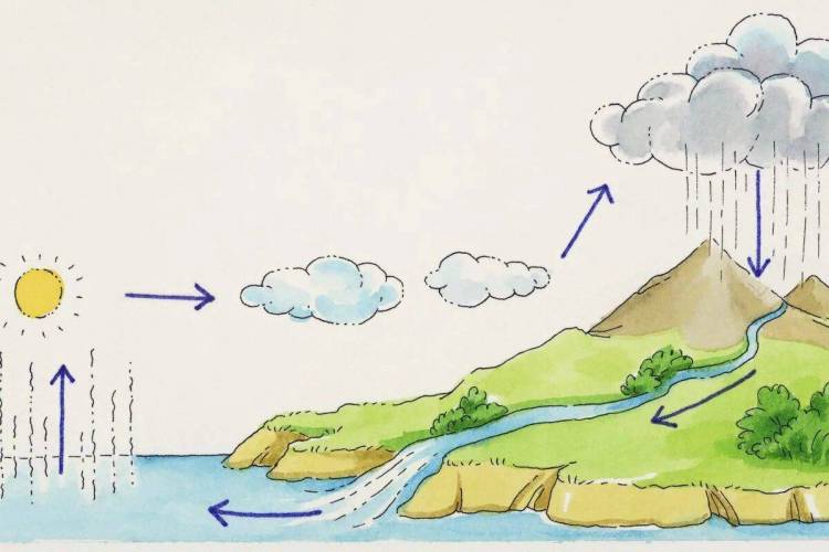 Картинки Круговорот воды в природе 