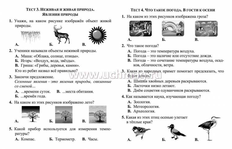 Тесты