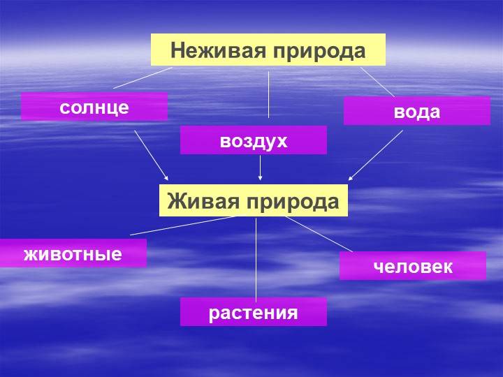 Презентация на тему Живая и неживая природа