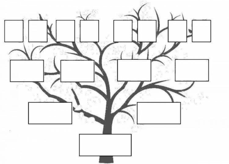 Раскраски Генеалогическое древо 