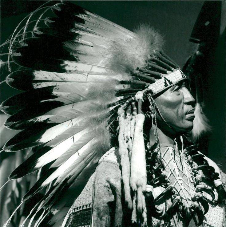 Native Chief so regal,stoic and a beautiful sight