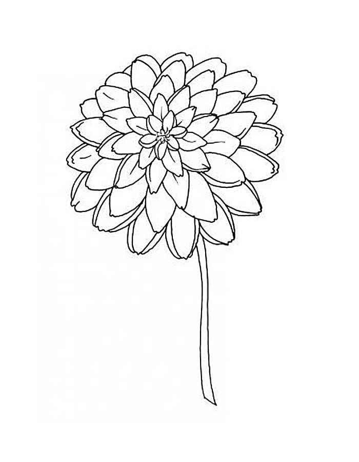 Flowers coloring book for kids