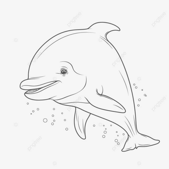раскраски для детей дельфины на белом фоне раскраски для детей дельфины раскраски бесплатно контурный эскиз рисунок вектор PNG , настоящий рисунок дельфина, реальный контур дельфина, реальный эскиз дельфина PNG картинки и пнг
