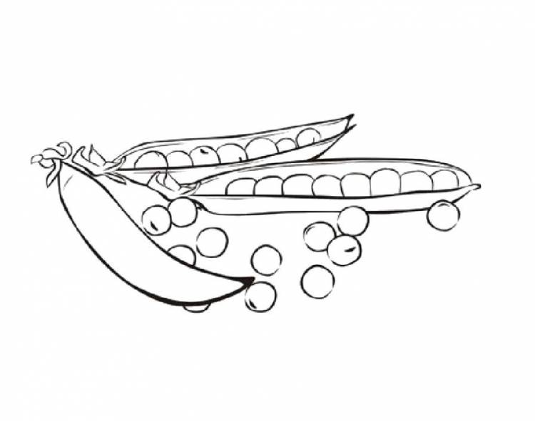 Раскраски горох, Раскраска Раскраска горох для детей овощи