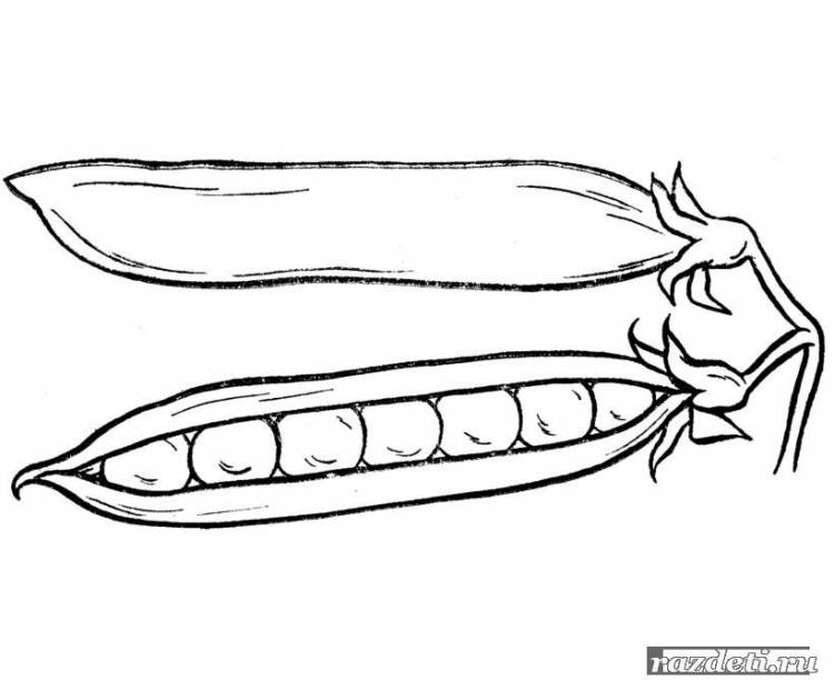 Идеи для срисовки стручок гороха 