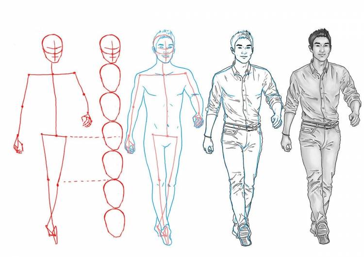 Поэтапное рисование мужской фигуры