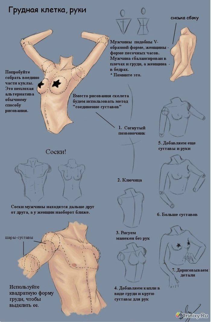 Учимся рисовать пикантные подробности женского тела