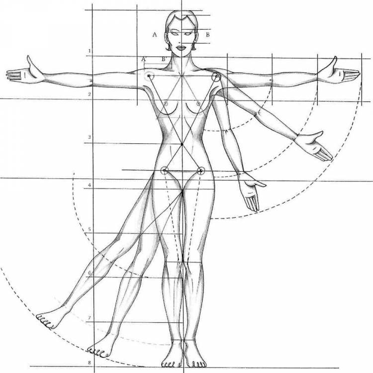 Основные пропорции человека при рисовании