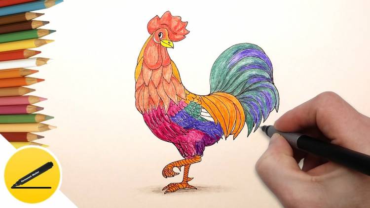 How to Draw a Rooster step by step