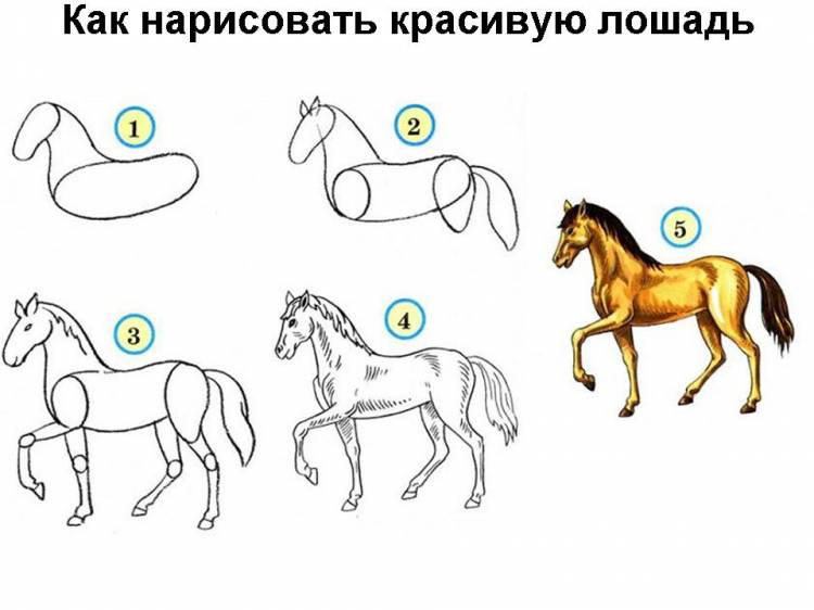 Лошадь рисунок карандашом поэтапно поэтапно