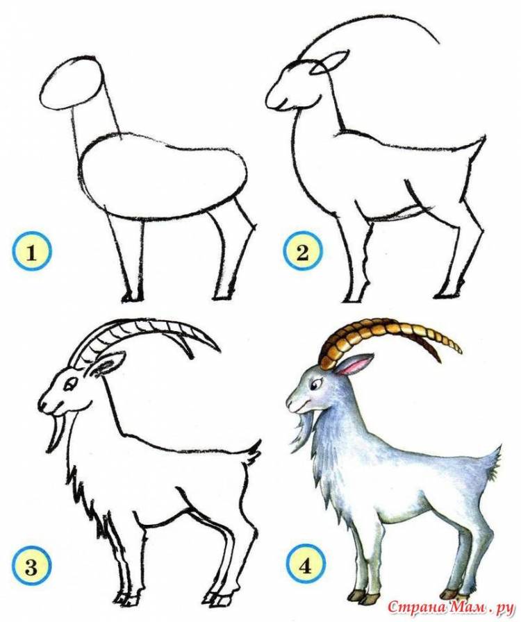 Как нарисовать козла 