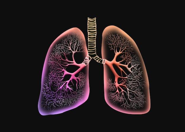Рисунок легких человека на черном фоне