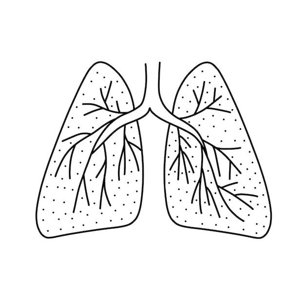 Ручная рисованная векторная иллюстрация легких человека в стиле каракулей симпатичная иллюстрация иконки легких на wh