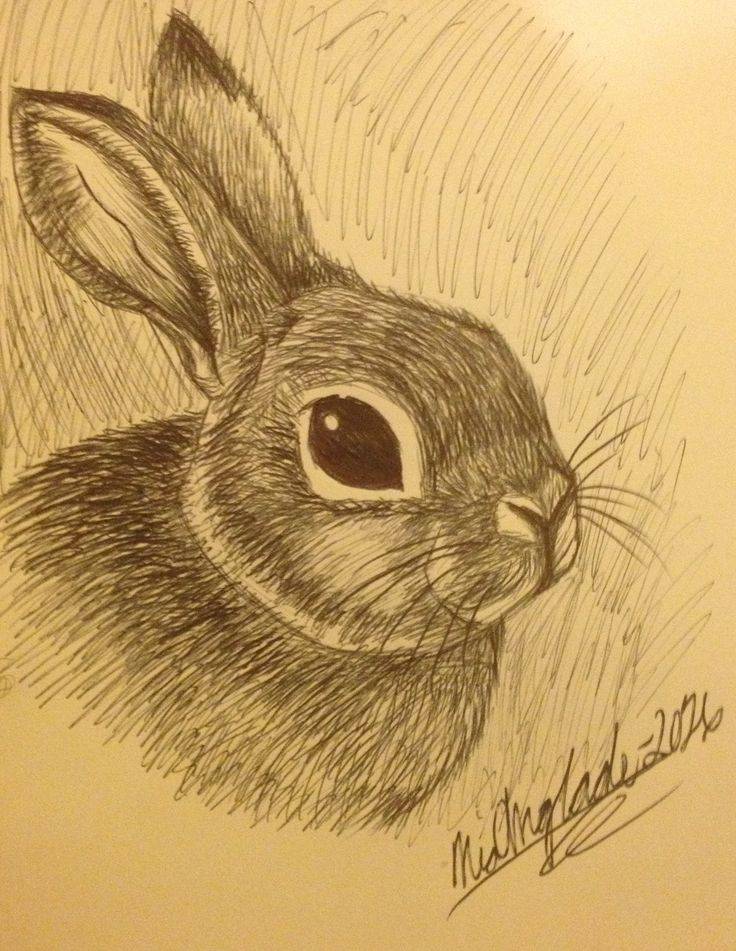 A realistic drawing of a rabbit