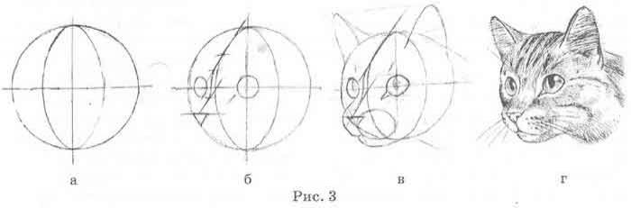 Рисуем голову кошки