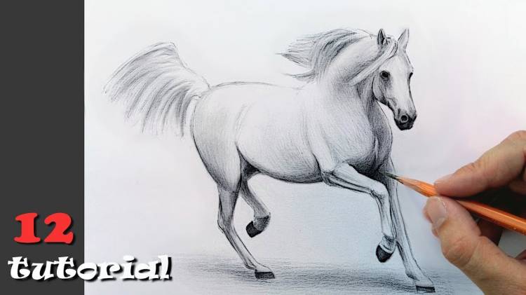 How to draw a horse (a horse) with a pencil? A staged lesson with an explanation!