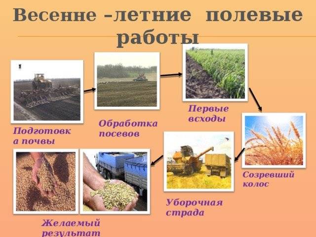 Картинки сельскохозяйственные работы весной 