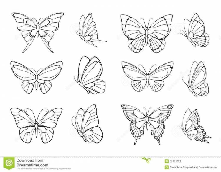 Маленькие бабочки для срисовки