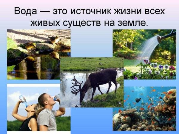 Картинки природа источник жизни 