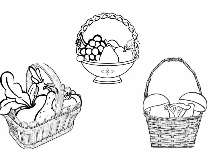 Корзина с грибами рисунок для срисовки