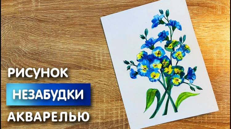 Как нарисовать незабудки карандашом и акварелью начинающим