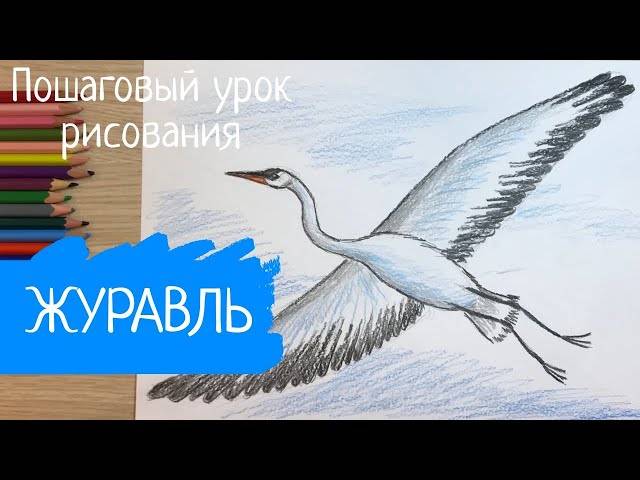 Журавль рисунок Птица рисунок карандашом легкий Летящая птица рисунок Перелетная птица