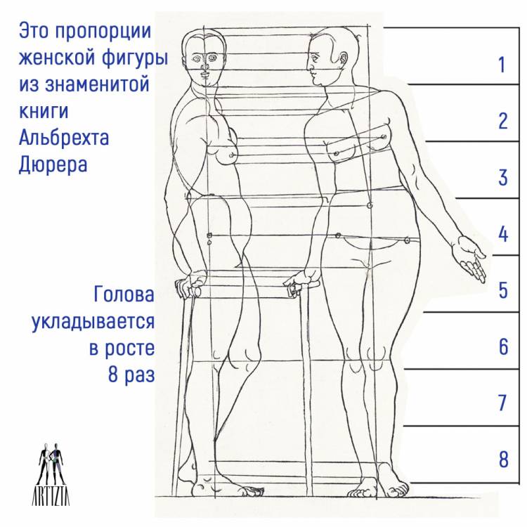 Пропорции в фэшн скетчинге