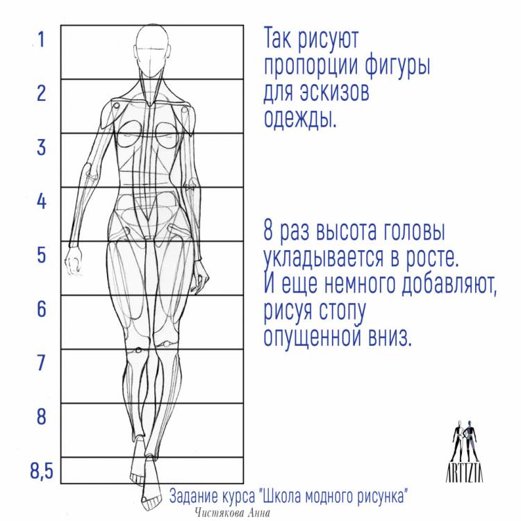 Пропорции в фэшн скетчинге