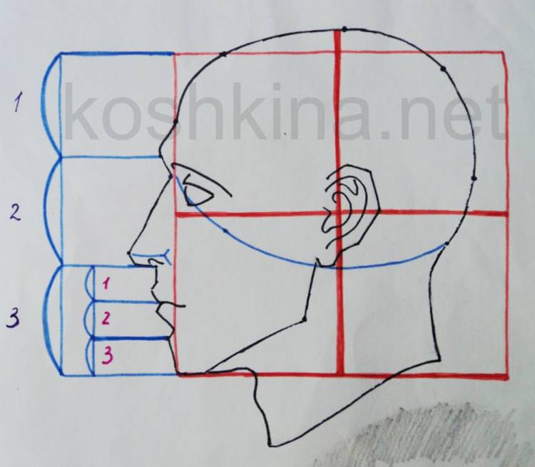 Рисование головы в профиль