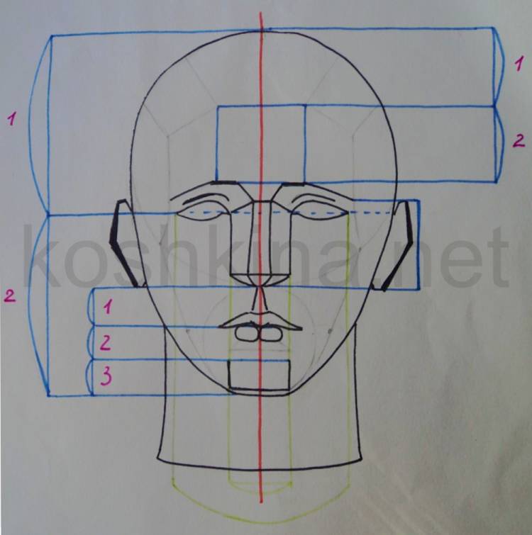 Рисование головы