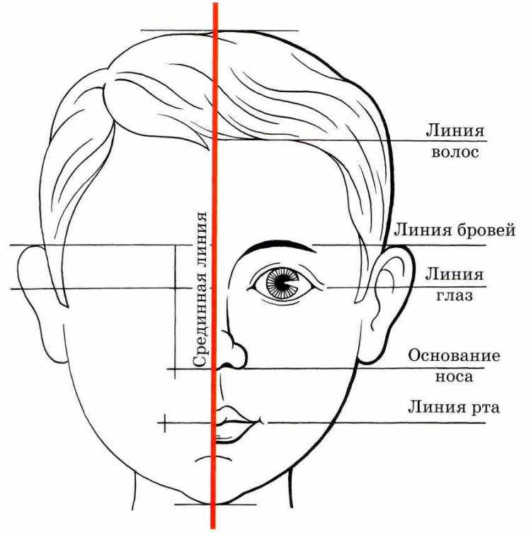 рисовать портрет