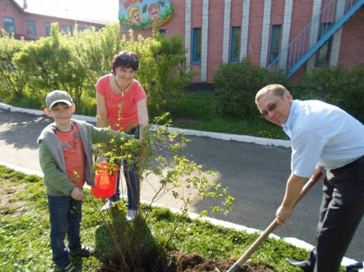 Акция «Посади дерево»