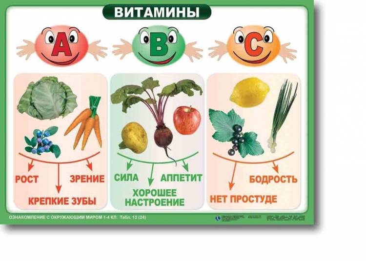 Картинки окружающий мир фрукты и овощи 