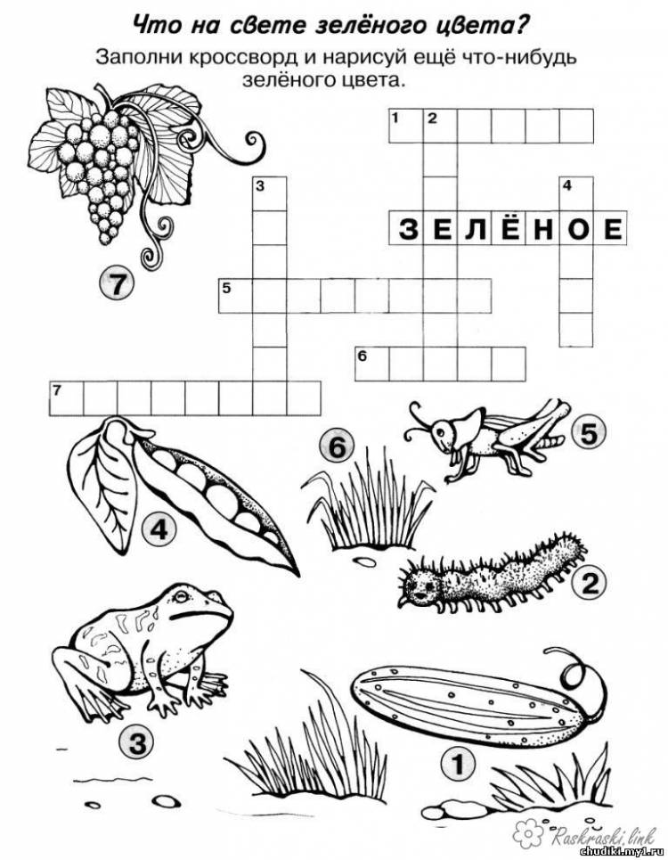 кроссворд Раскраски распечатать бесплатно