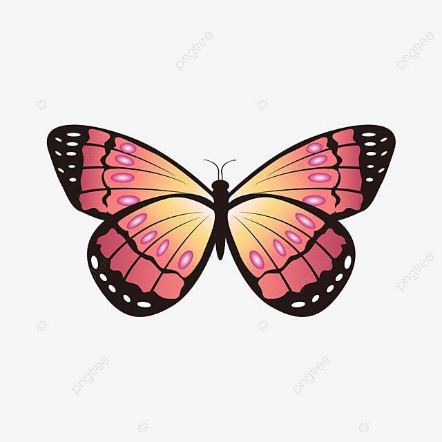 Espalhe Clipart De Borboletas Em Cores Gradientes PNG , Borboleta, Borboleta Gradient, Borboleta Rosa Imagem PNG e Vetor Para Download Gratuito