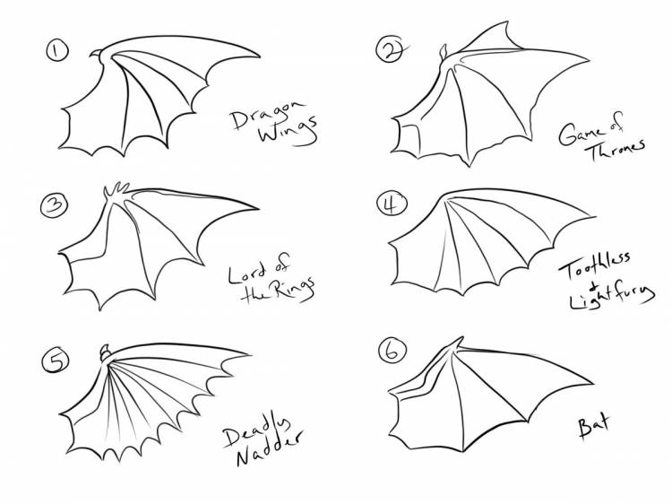Крылья дракона рисунок