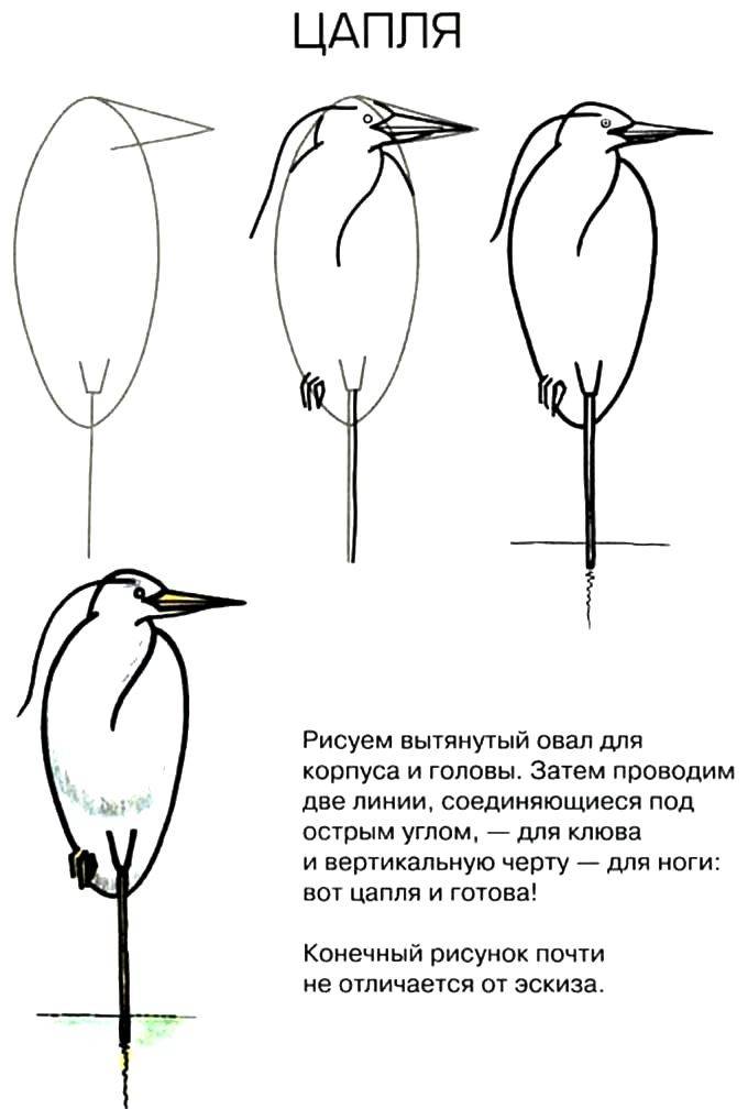 Рисуем поэтапно перелетных птиц