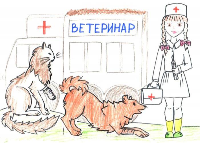 Картинки о профессии ветеринара