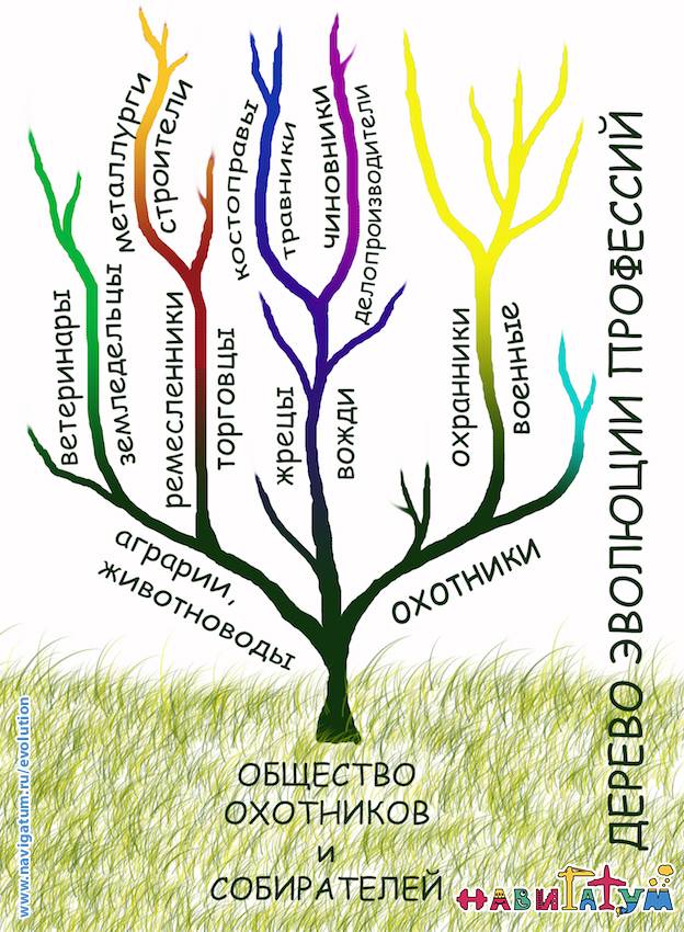 Дерево эволюции профессий
