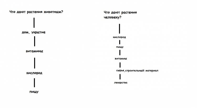 Нужен рисунок схема Что дают растения животным и человеку?