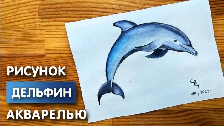 Как нарисовать дельфина карандашом и акварелью начинающим