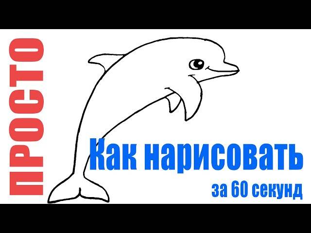 Как нарисовать дельфина карандашом легко и просто (рисуем поэтапно)