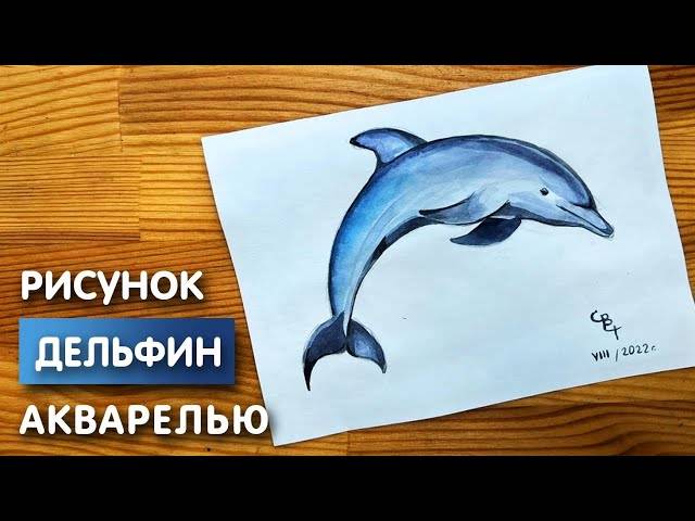 Как нарисовать дельфина карандашом и акварелью начинающим