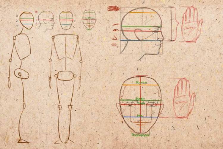 Как нарисовать человека поэтапно карандашом? Уроки для начинающих с инструкцией, схемами, эскизами и шаблонами для срисовки